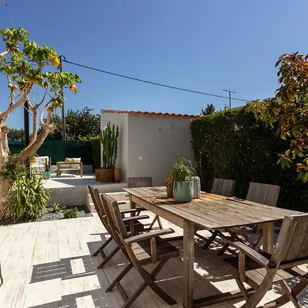Flamingo Alvor